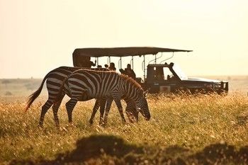 Elephant Pepper Camp Maasai Mara Exterior foto